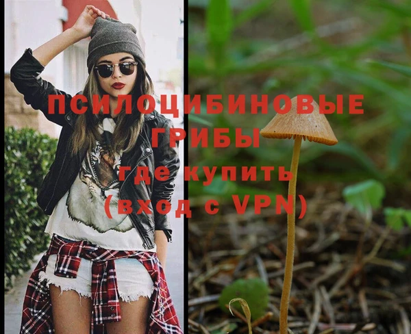 COCAINE Инсар