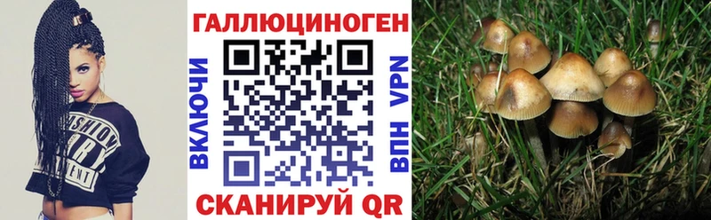 Псилоцибиновые грибы мухоморы  Купить где  Тотьма 